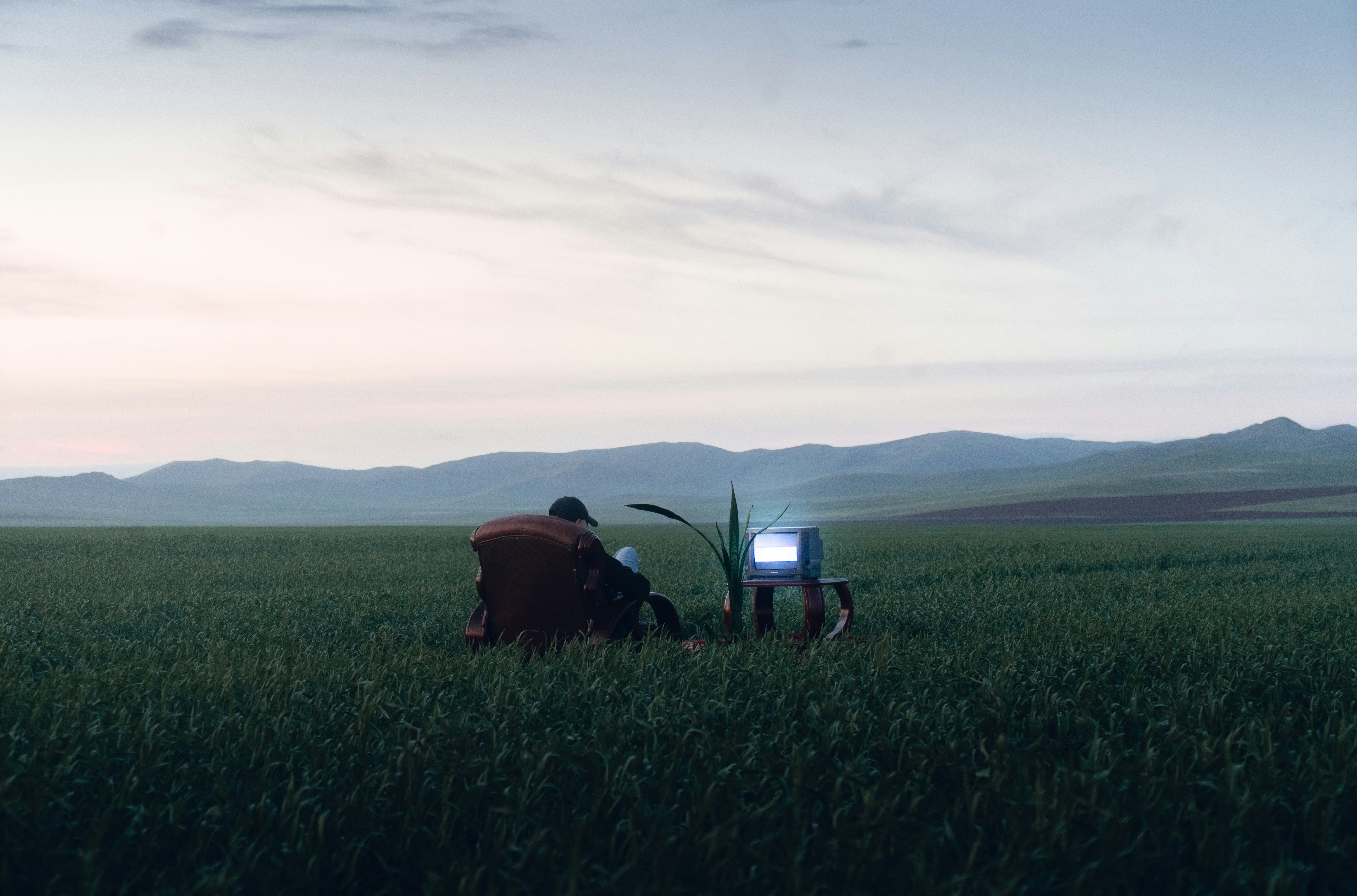 people sitting on grass field during daytime